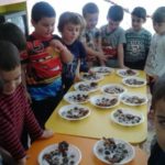 lokomotiv-gradina003